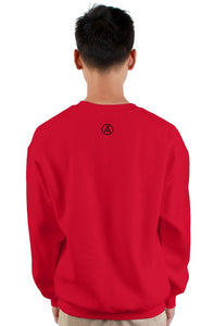 Determination heavy crewneck sweatshirt